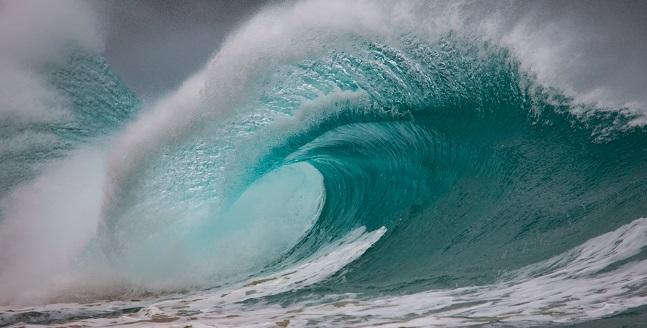 What is Fitbit Labs visual data 6